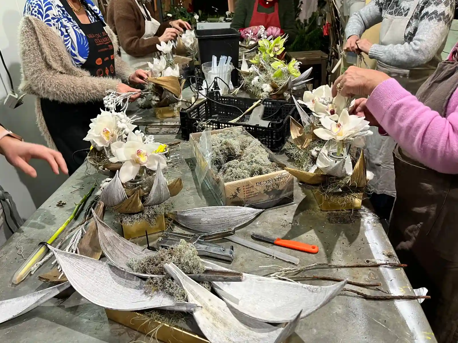 Atelier floral — orchidées en barquettes