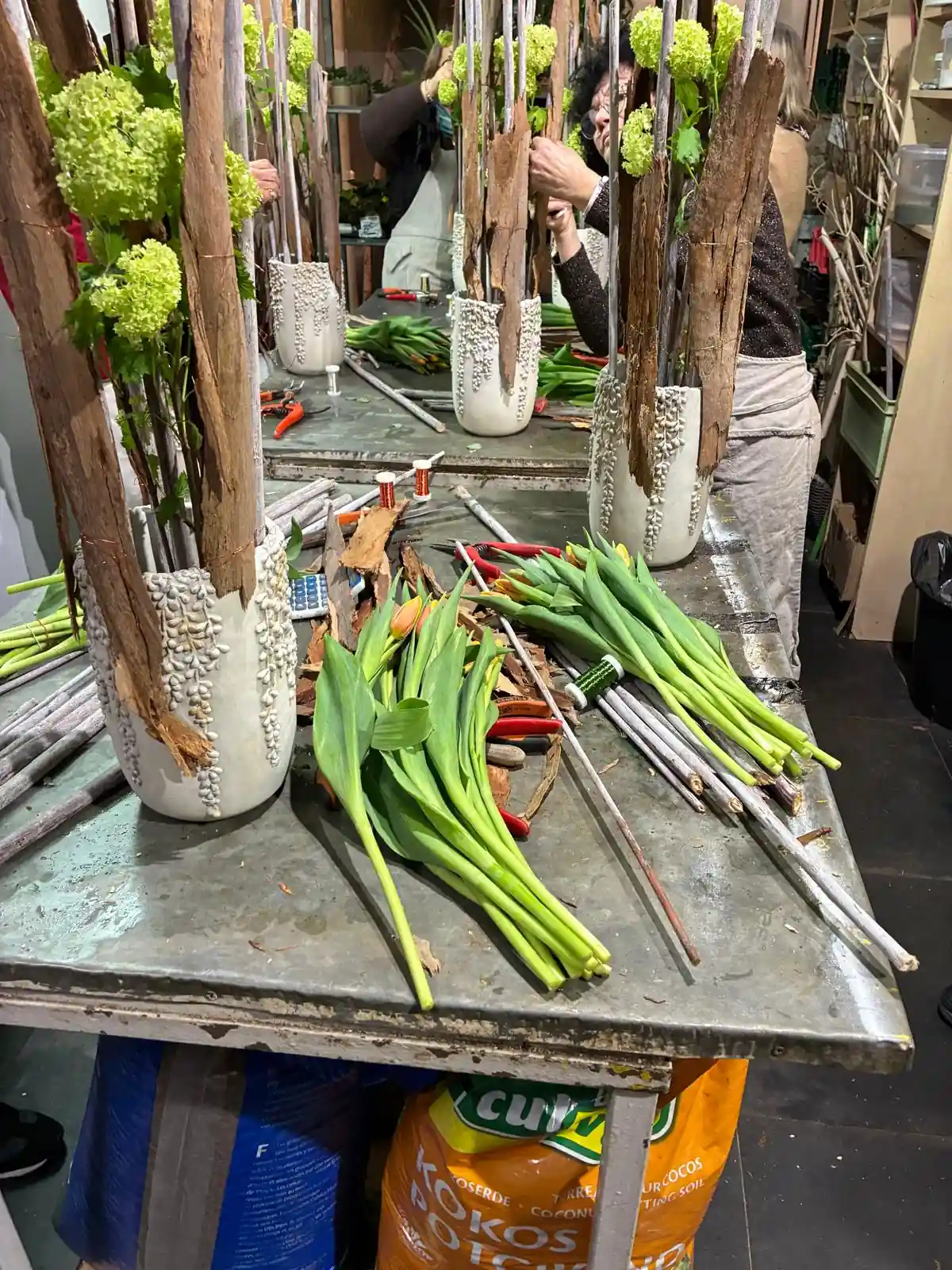 Atelier floral — vases blancs et tulipes