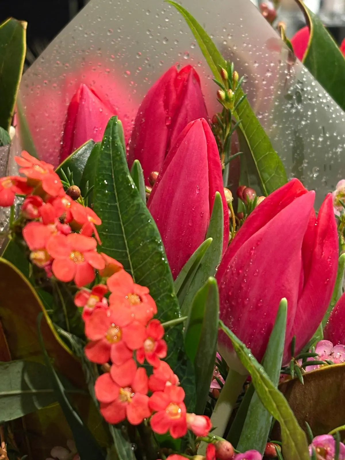 Bouquet tulipes roses et waxflower