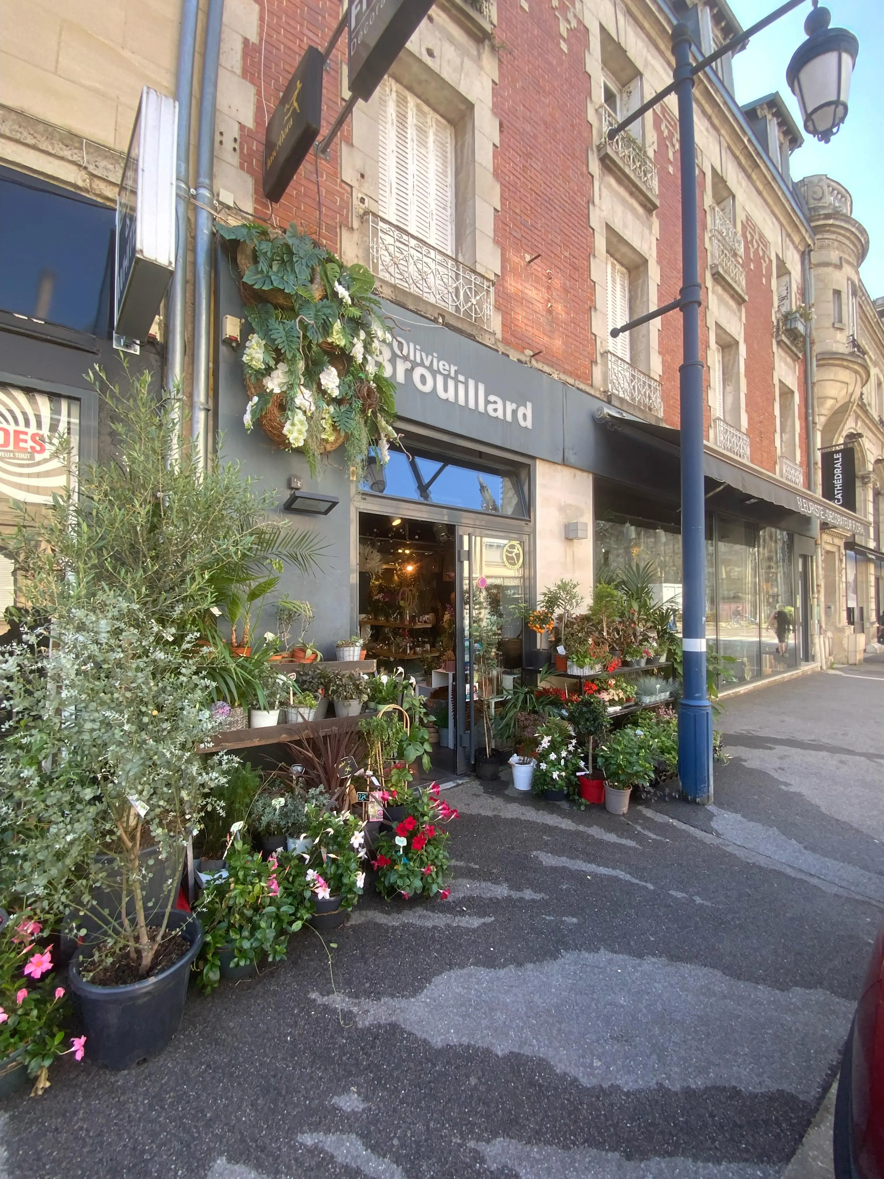 Façade extérieure de la boutique avec plantes