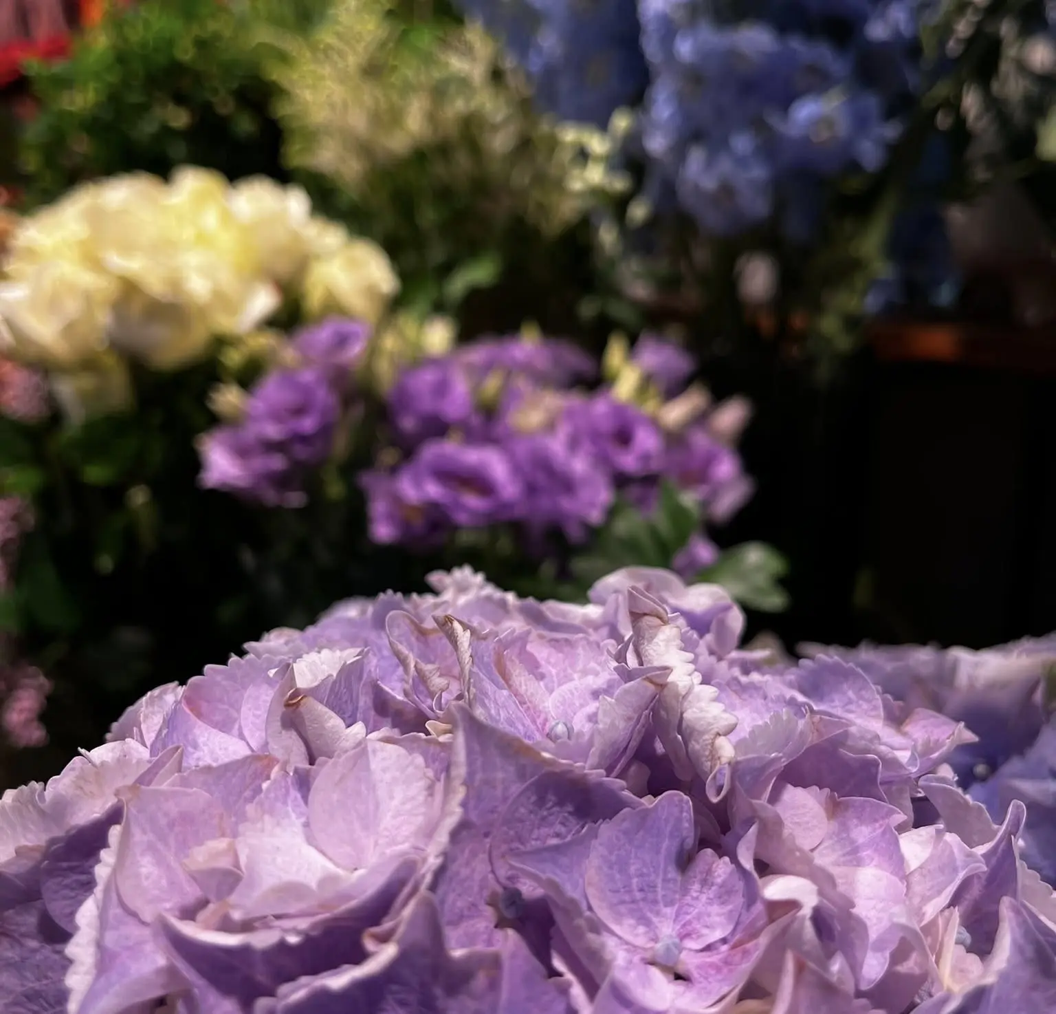 Détail hortensias mauves et lisianthus