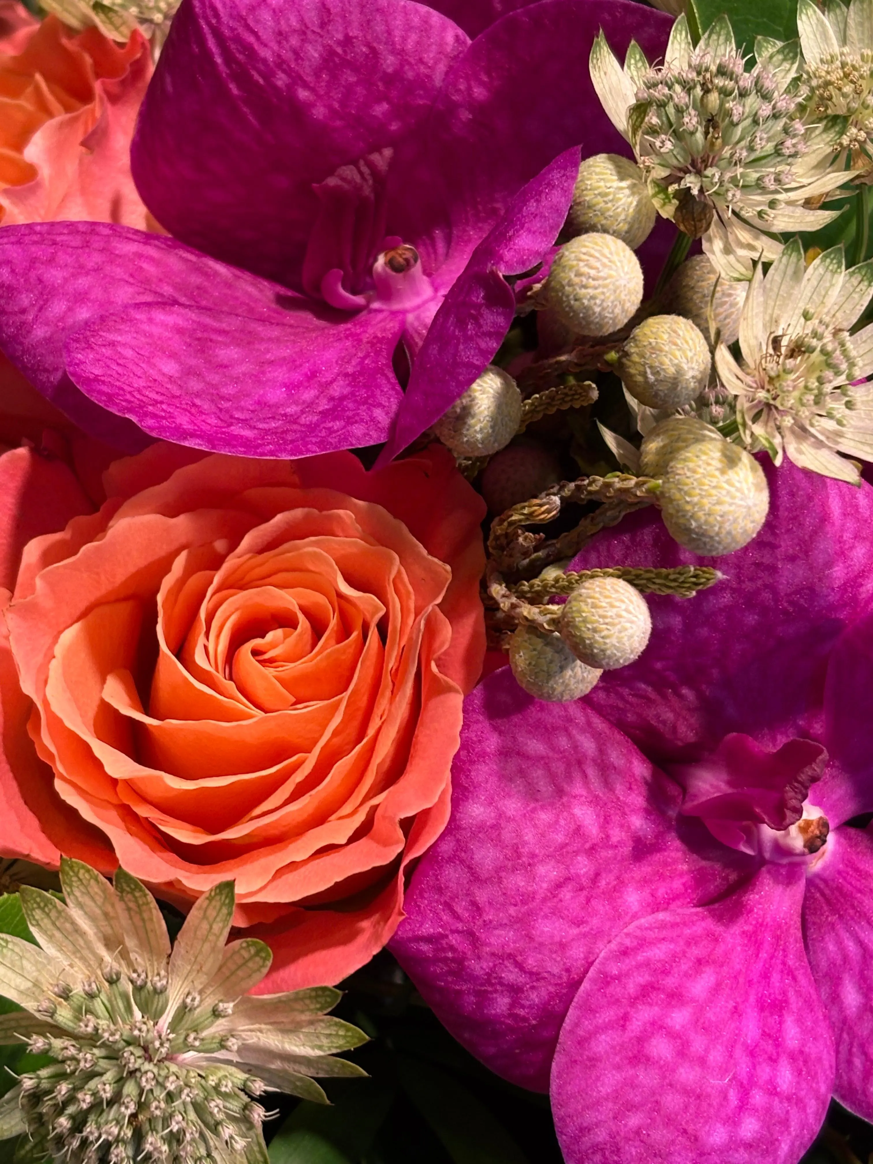 Détail bouquet orchidée vanda rose et astrantia