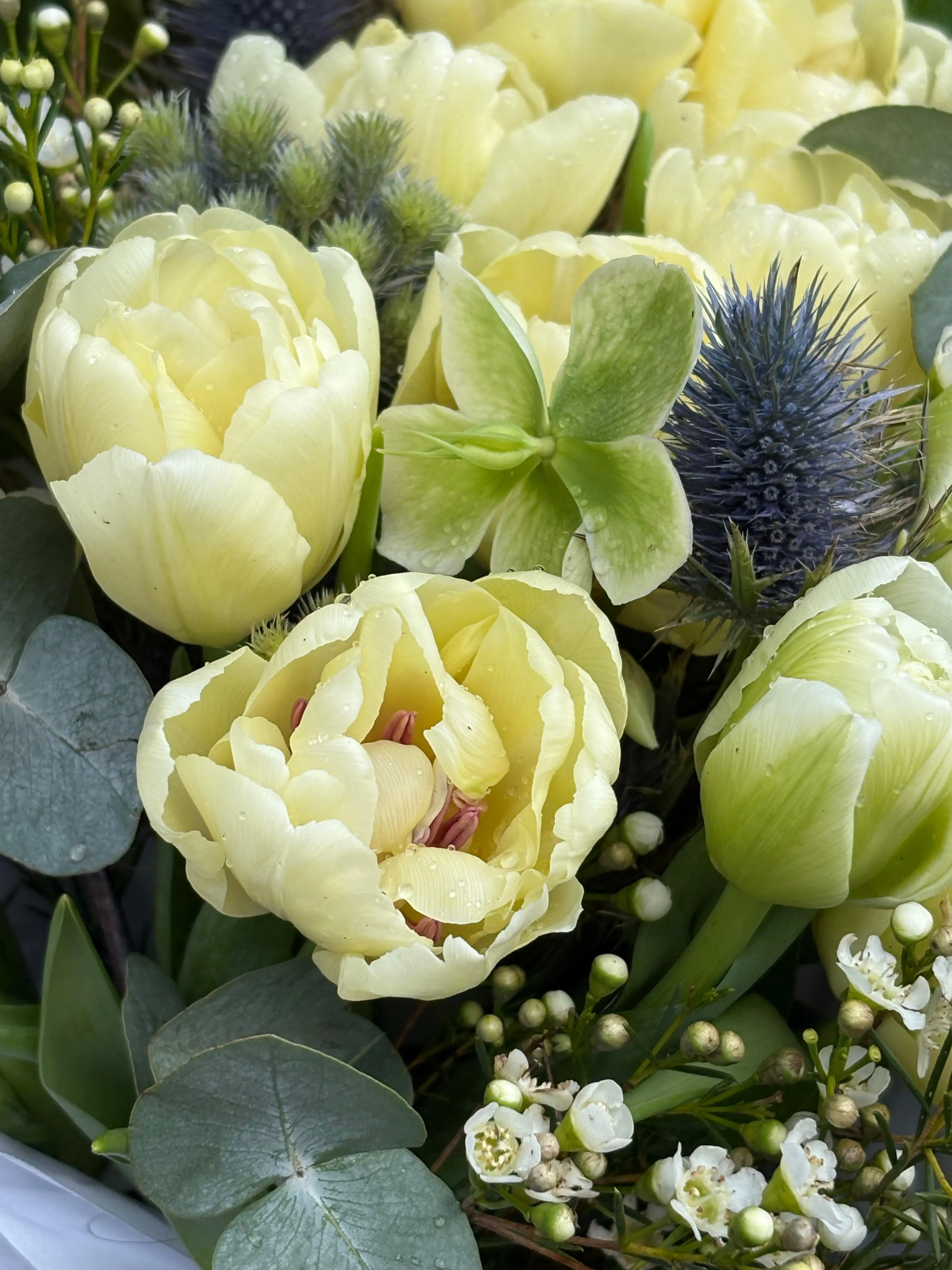 Détail bouquet tulipes doubles jaunes et chardon
