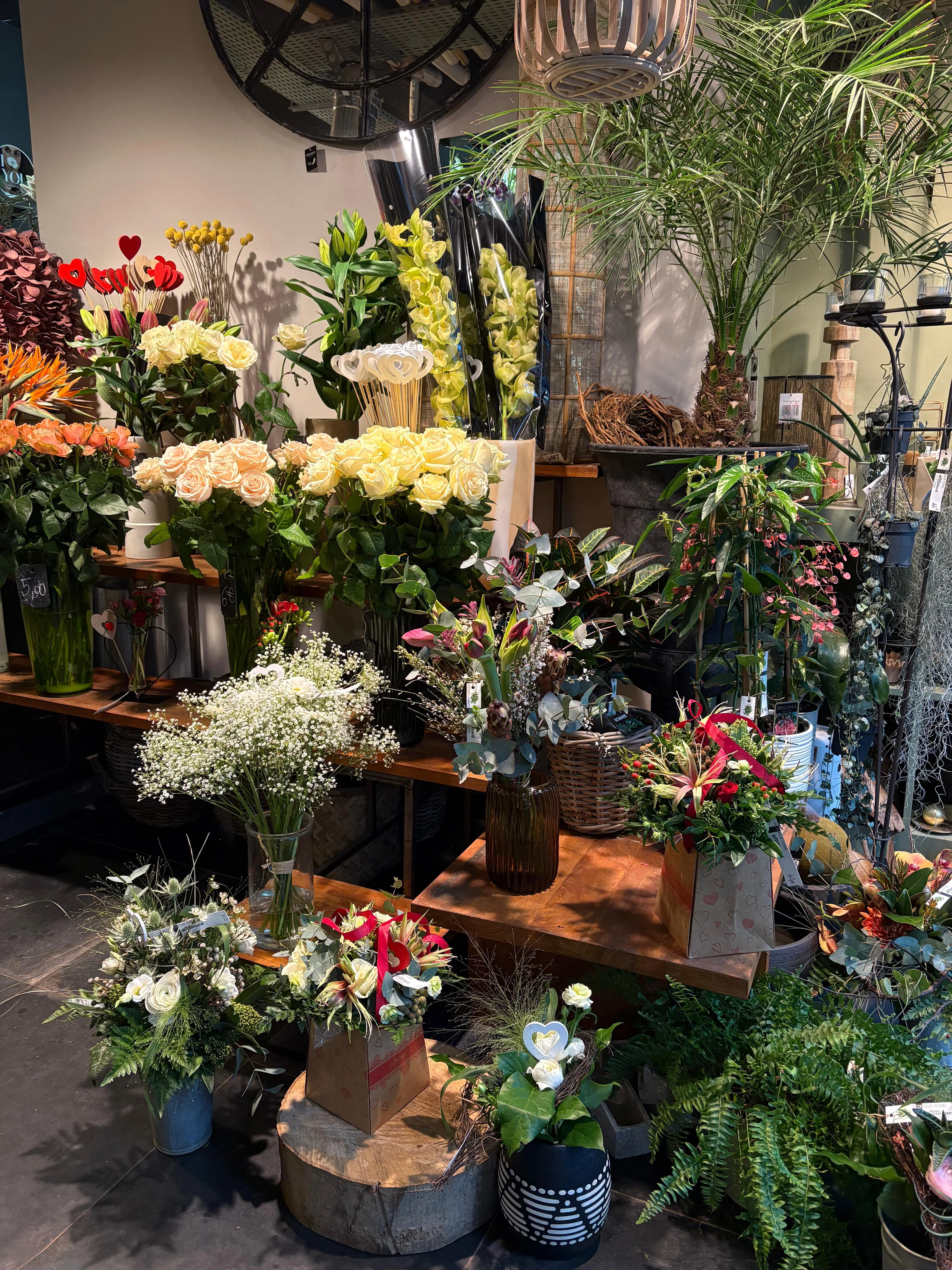 Devanture boutique vue 5