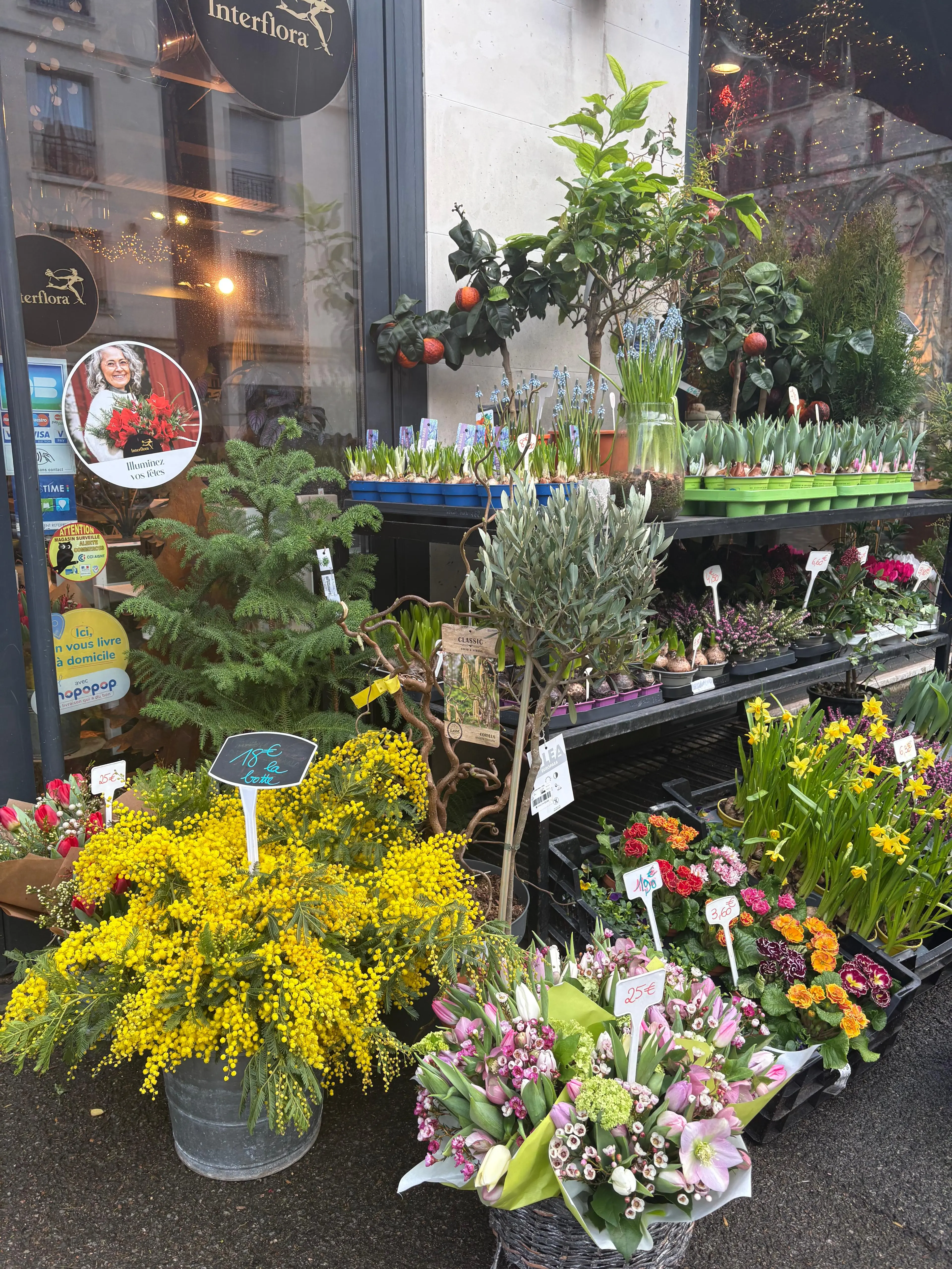 Devanture boutique Interflora avec mimosa