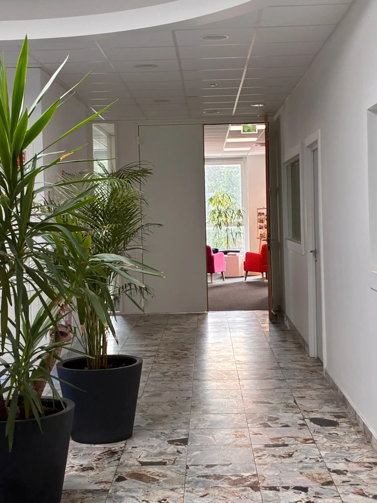 Couloir plantes et marbre